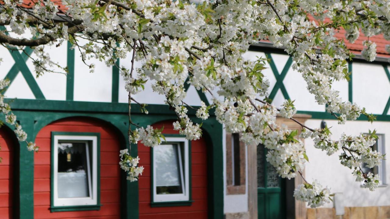 Ferienwohnung Zittauer Gebirge Kurort Jonsdorf Exterior foto